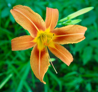 P6100040