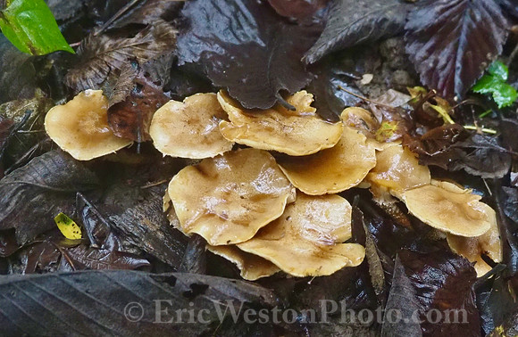 P9220029