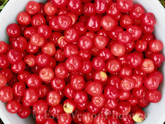 P6100029