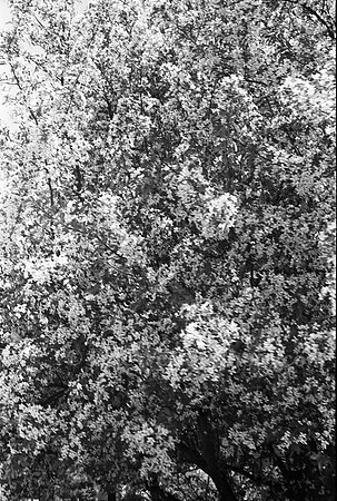 00143a22