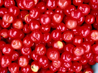 P6100031
