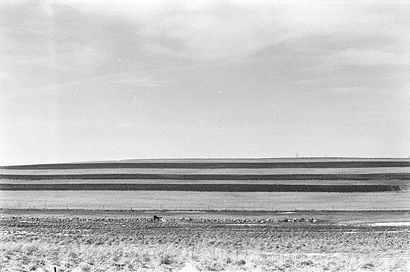 0016334