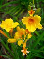 P6100046