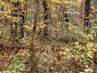 PA280077