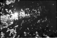 0058608