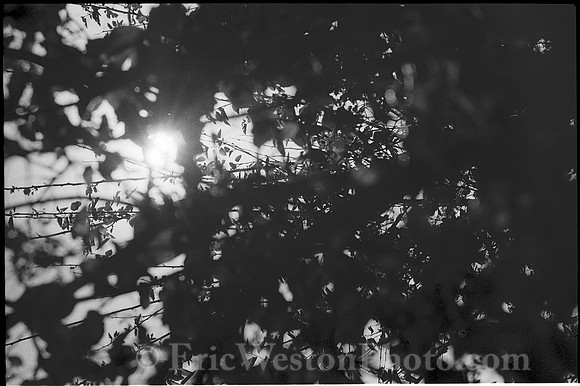 0058608