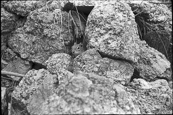00592a09