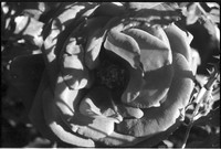 0058622