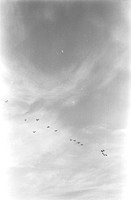 0016302