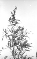 00165d13