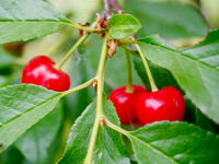 P6100022