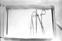00545c39
