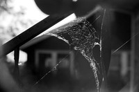 00155a12