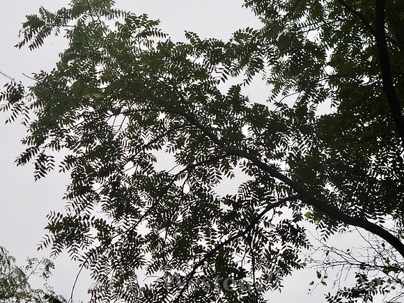P9220005