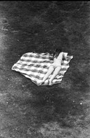 0019338