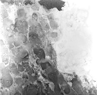 0018904