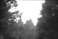 0038309