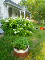 P6070007