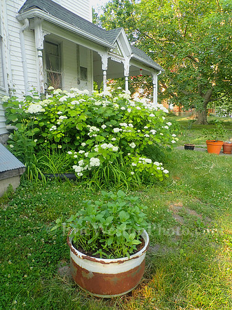 P6070007