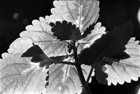 0018835