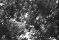 0020609