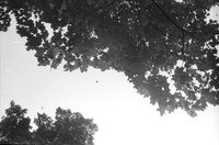 0020616