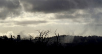 P4080004