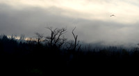 P4190006