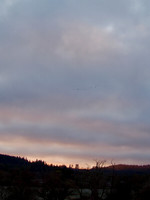 P4050015