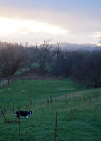 P3060005
