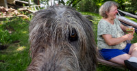 P8030082