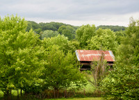 P8060002