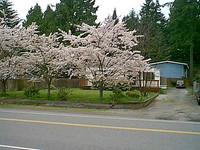IMAGE05