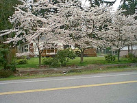 IMAGE06