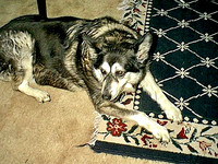 IMAGE06