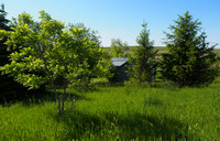 P6020013