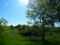 P6020009