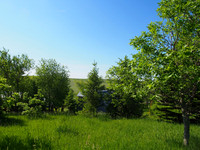 P6020012