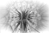 00224a02