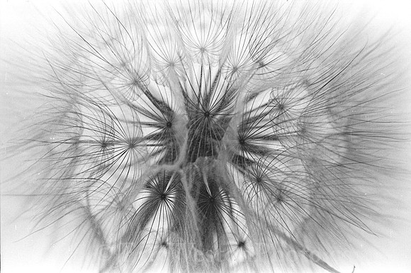 00224a02