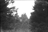 0038308jpg