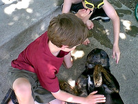 IMAGE02 (1)