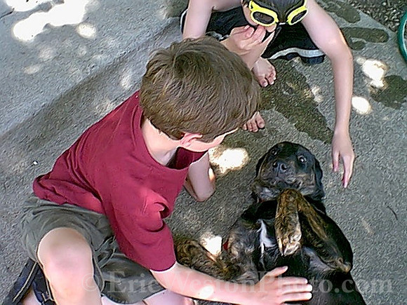 IMAGE02 (1)