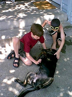 IMAGE01 (1)
