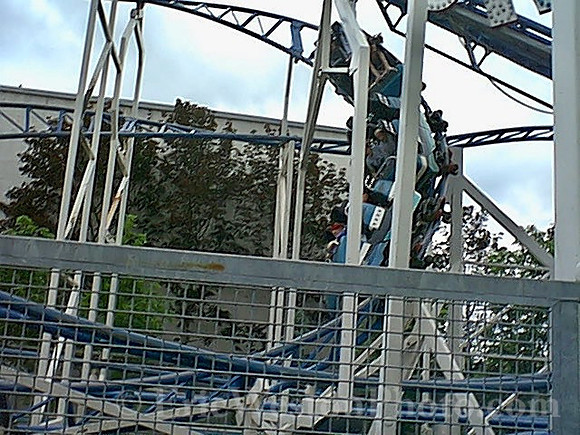 IMAGE11