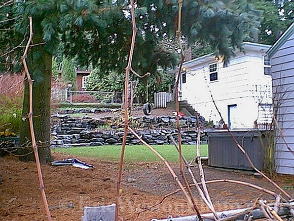 IMAGE20