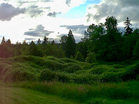 IMAGE01
