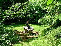 IMAGE06