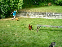 IMAGE09