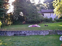 IMAGE01 (1)